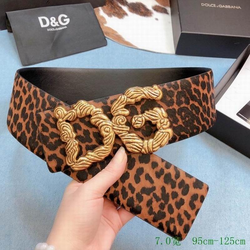 DG Belts 302